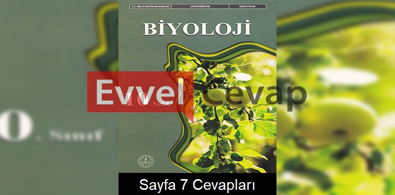 10. Sınıf Biyoloji Ders Kitabı Meb Yayınları Cevapları Sayfa 7