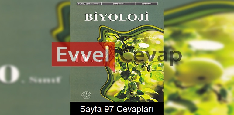 10. Sınıf Biyoloji Ders Kitabı Meb Yayınları Cevapları Sayfa 97