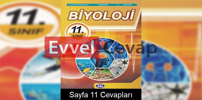 11. Sınıf Biyoloji Ders Kitabı Cevapları Tutku Yayınları Sayfa 11