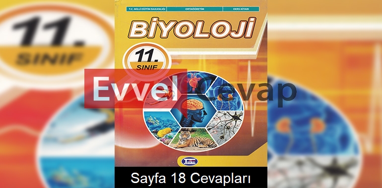 11. Sınıf Biyoloji Ders Kitabı Cevapları Tutku Yayınları Sayfa 18