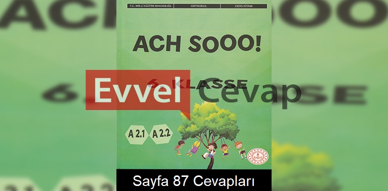 6. Sınıf Almanca Ders Kitabı Cevapları Meb Yayınları Sayfa 87