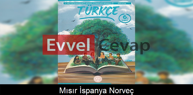 Mısır - İspanya - Norveç Metni Etkinlik Cevapları (6. Sınıf Türkçe)