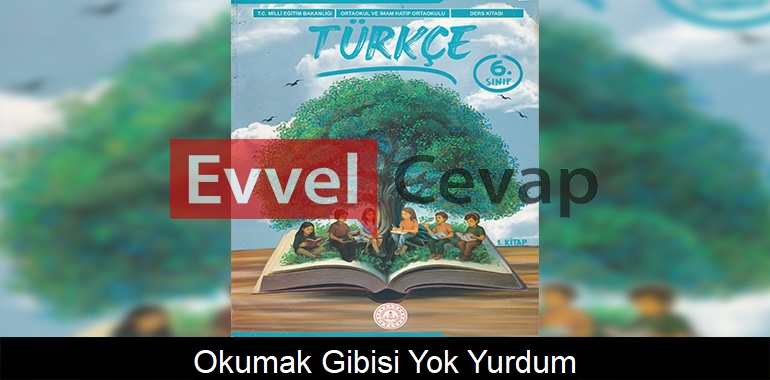 Okumak Gibisi Yok! Yurdum Metni Etkinlik Cevapları (6. Sınıf Türkçe)