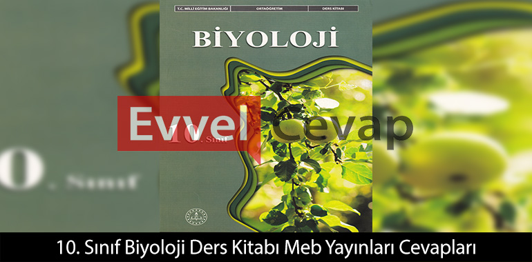 10. Sınıf Biyoloji Ders Kitabı Cevapları Meb Yayınları 2026-2027