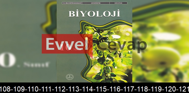 10. Sınıf Biyoloji Ders Kitabı Cevapları Meb Yayınları Sayfa 107-108-109-110-111-112-113-114-115-116-117-118-119-120-121-122