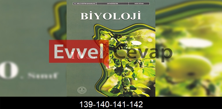 10. Sınıf Biyoloji Ders Kitabı Cevapları Meb Yayınları Sayfa 139-140-141-142