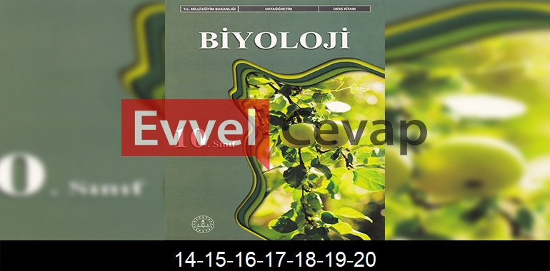 10. Sınıf Biyoloji Ders Kitabı Cevapları Meb Yayınları Sayfa 14-15-16-17-18-19-20