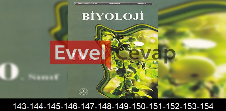 10. Sınıf Biyoloji Ders Kitabı Cevapları Meb Yayınları Sayfa 143-144-145-146-147-148-149-150-151-152-153-154