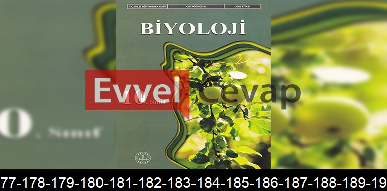 10. Sınıf Biyoloji Ders Kitabı Cevapları Meb Yayınları Sayfa 175-176-177-178-179-180-181-182-183-184-185-186-187-188-189-190-191-192