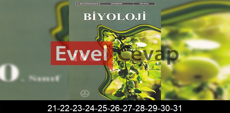 10. Sınıf Biyoloji Ders Kitabı Cevapları Meb Yayınları Sayfa 21-22-23-24-25-26-27-28-29-30-31