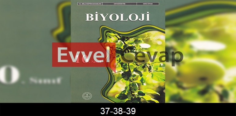 10. Sınıf Biyoloji Ders Kitabı Cevapları Meb Yayınları Sayfa 37-38-39