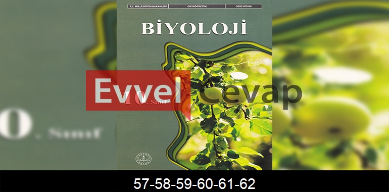 10. Sınıf Biyoloji Ders Kitabı Cevapları Meb Yayınları Sayfa 57-58-59-60-61-62