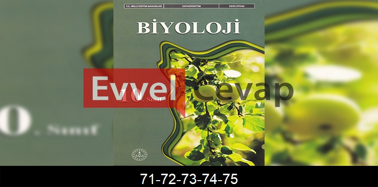10. Sınıf Biyoloji Ders Kitabı Cevapları Meb Yayınları Sayfa 71-72-73-74-75