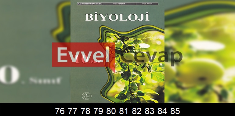 10. Sınıf Biyoloji Ders Kitabı Cevapları Meb Yayınları Sayfa 76-77-78-79-80-81-82-83-84-85