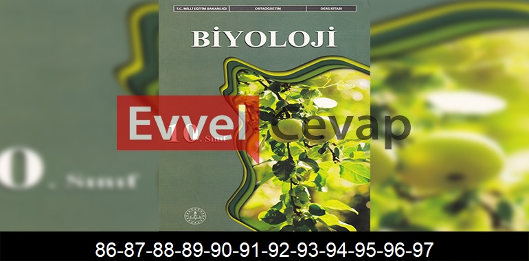 10. Sınıf Biyoloji Ders Kitabı Cevapları Meb Yayınları Sayfa 86-87-88-89-90-91-92-93-94-95-96-97