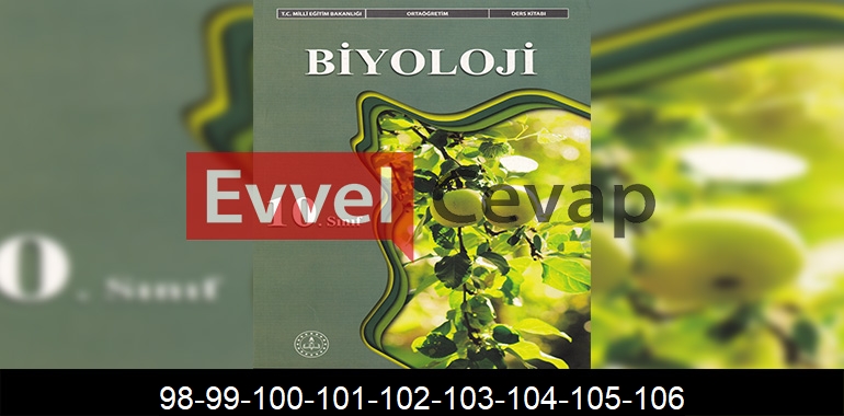 10. Sınıf Biyoloji Ders Kitabı Cevapları Meb Yayınları Sayfa 98-99-100-101-102-103-104-105-106