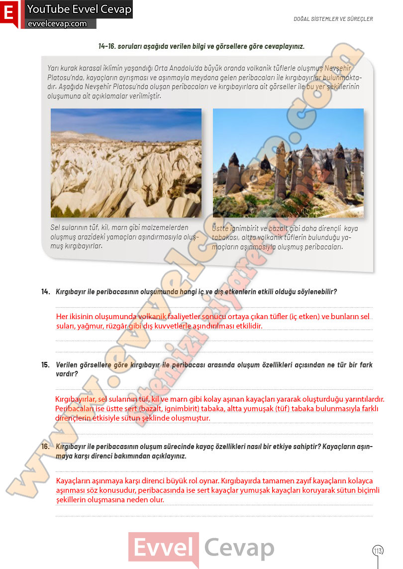 10-sinif-cografya-ders-kitabi-cevaplari-meb-yayinlari-2025-2026-sayfa-113