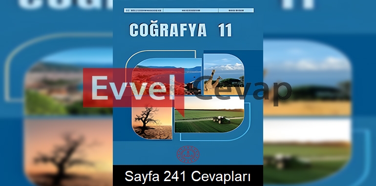 11. Sınıf Coğrafya Kitabı Cevapları Meb Yayınları Sayfa 241
