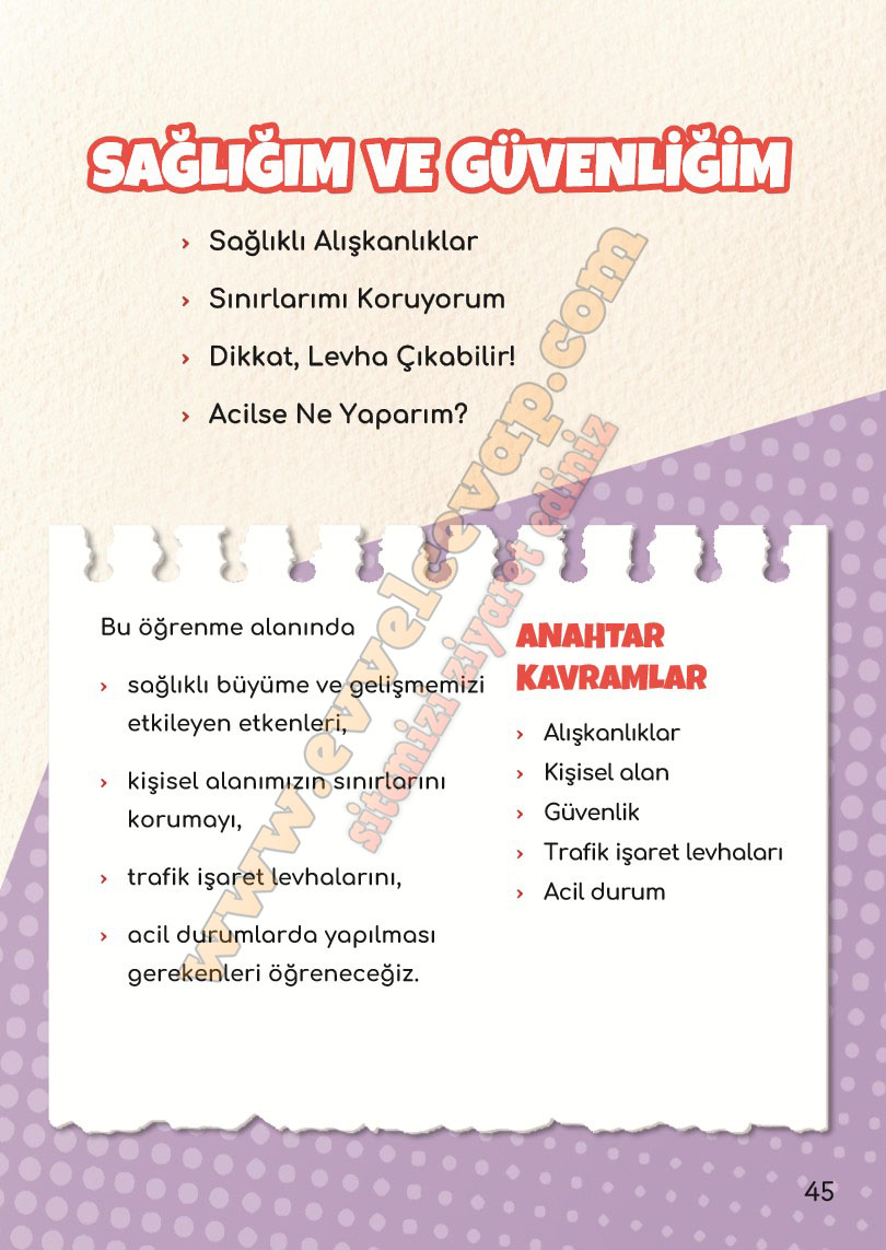 2-sinif-hayat-bilgisi-ders-kitabi-cevabi-meb-yayinlari-1-kitap-sayfa-45