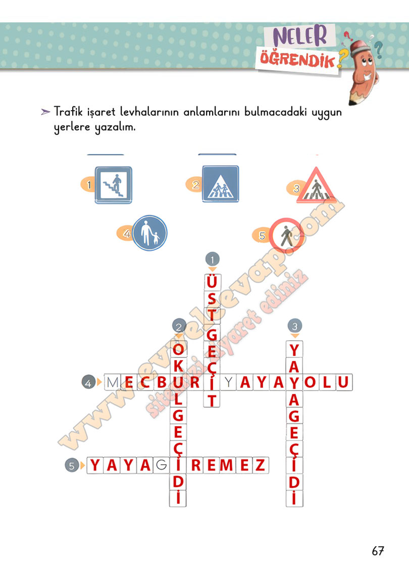 2-sinif-hayat-bilgisi-ders-kitabi-cevabi-meb-yayinlari-1-kitap-sayfa-67