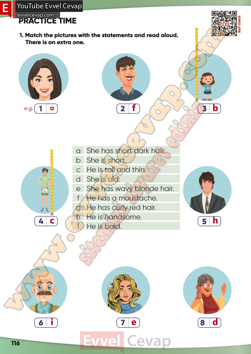 4-sinif-ingilizce-ders-kitabi-cevabi-sayfa-116