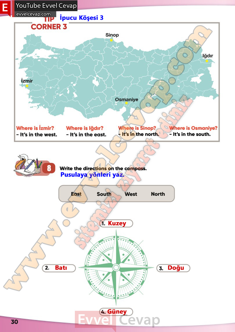 4-sinif-ingilizce-ders-kitabi-cevabi-sayfa-30