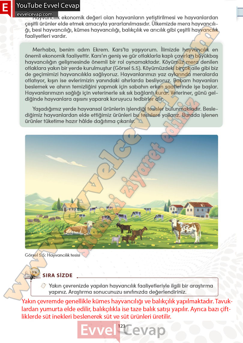 4-sinif-sosyal-bilgiler-ders-kitabi-cevabi-meb-yayinlari-sayfa-123