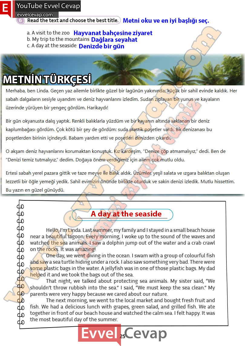 5-sinif-ingilizce-kitabi-cevabi-sayfa-25