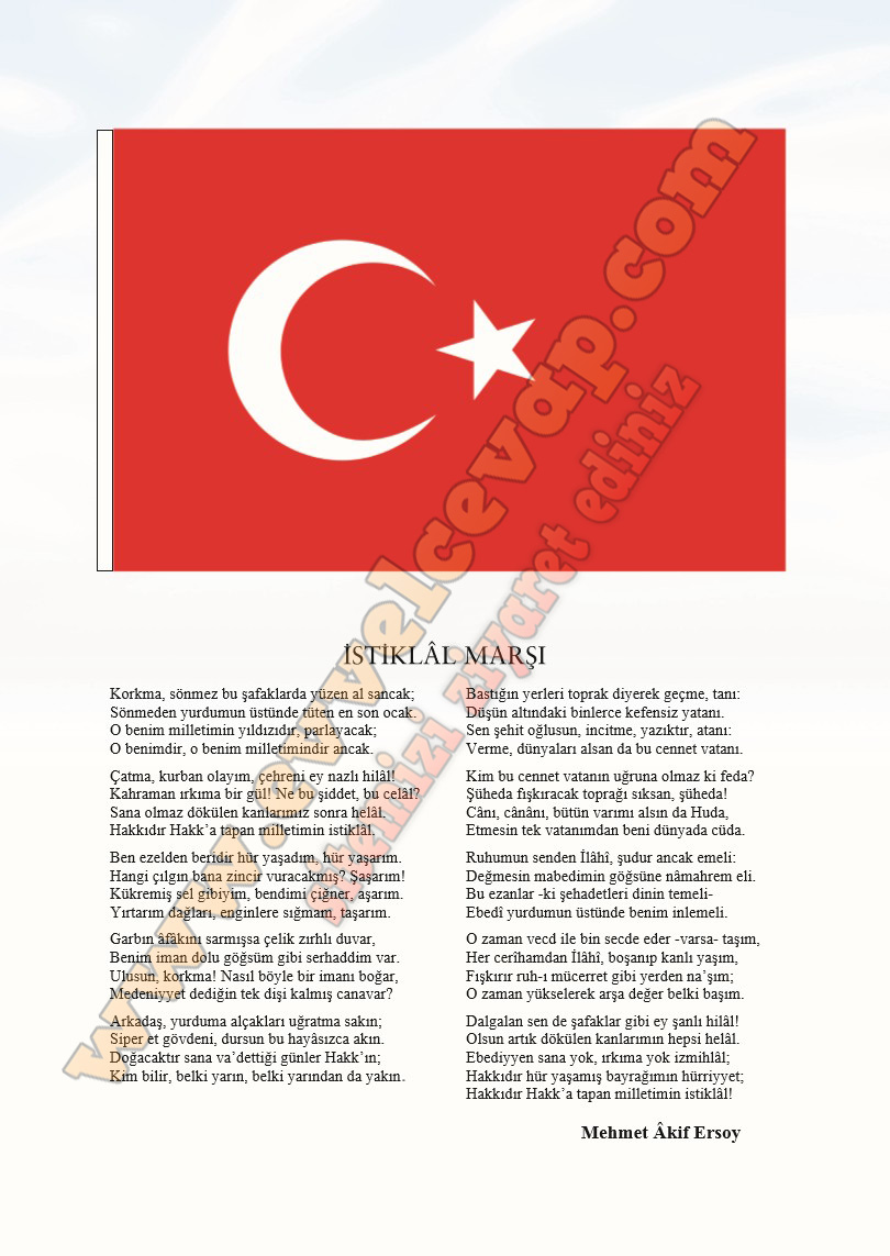 5-sinif-ingilizce-kitabi-cevabi-sayfa-4