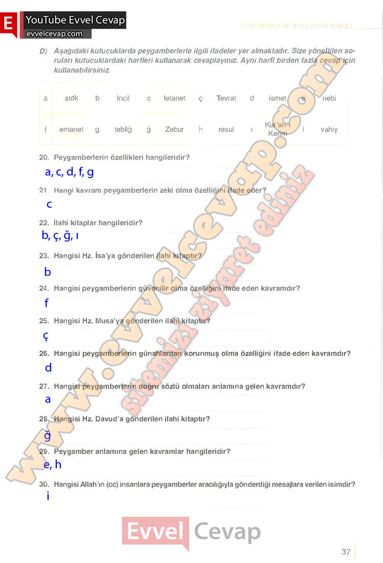 6-sinif-din-kulturu-ders-kitabi-cevaplari-meb-yayinlari-sayfa-37-2025-2026