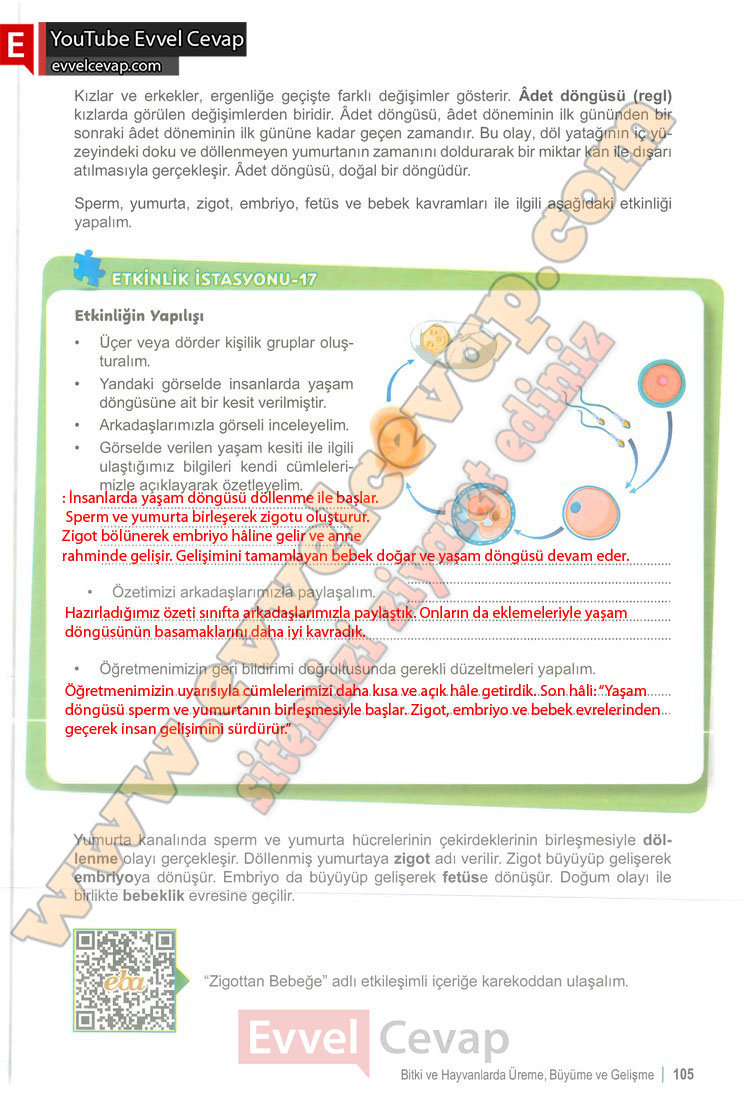 6-sinif-fen-bilimleri-ders-kitabi-cevabi-meb-yayinlari-1-kitap-sayfa-105