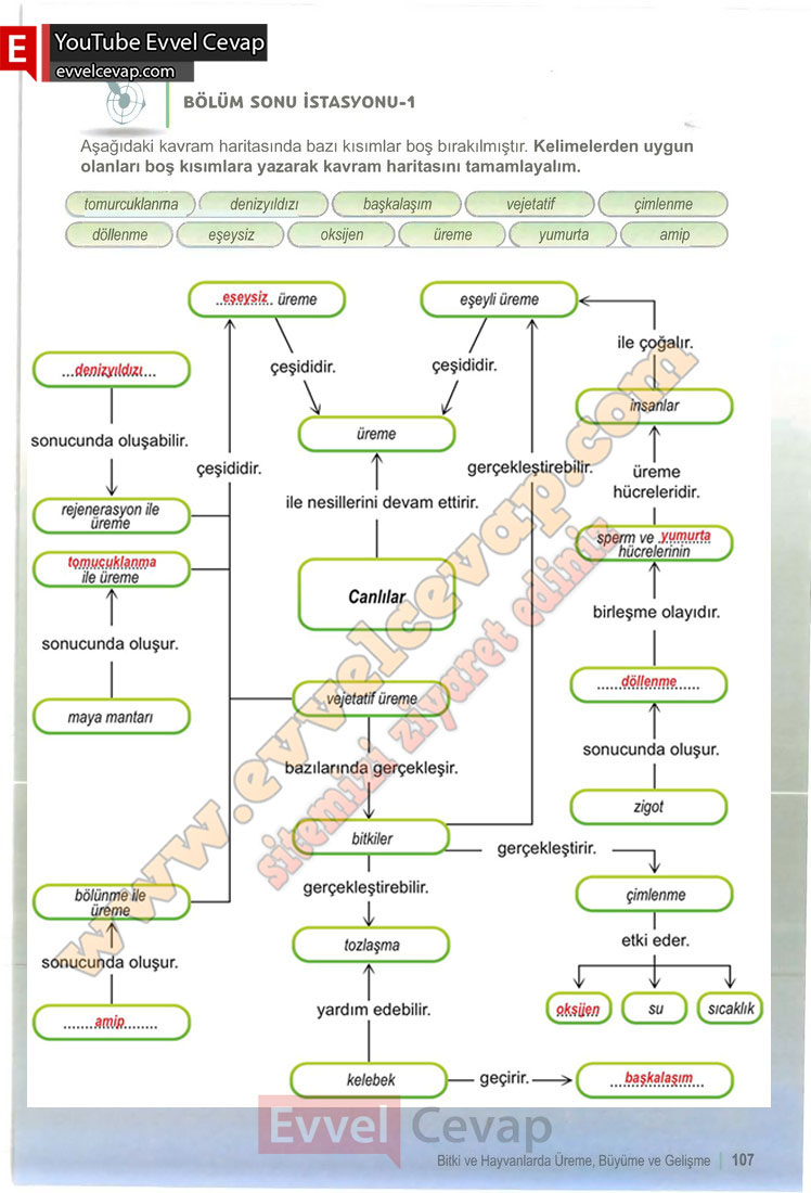 6-sinif-fen-bilimleri-ders-kitabi-cevabi-meb-yayinlari-1-kitap-sayfa-107