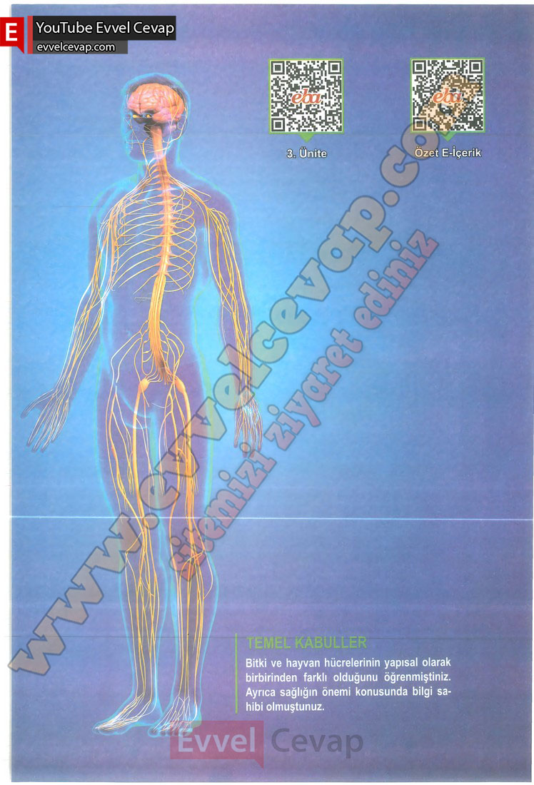 6-sinif-fen-bilimleri-ders-kitabi-cevabi-meb-yayinlari-1-kitap-sayfa-79