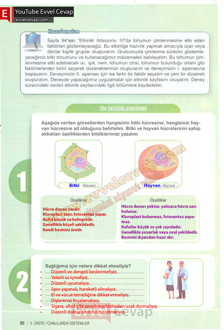 6-sinif-fen-bilimleri-ders-kitabi-cevabi-meb-yayinlari-1-kitap-sayfa-80