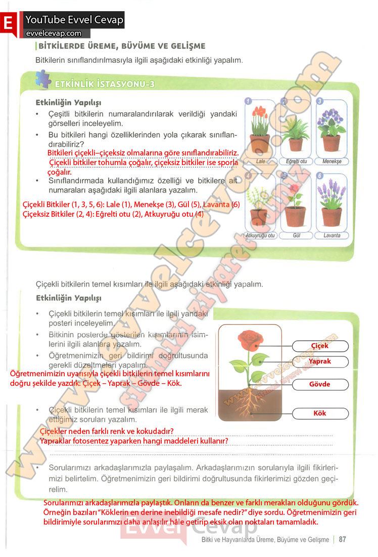 6-sinif-fen-bilimleri-ders-kitabi-cevabi-meb-yayinlari-1-kitap-sayfa-87