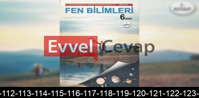 6. Sınıf Fen Bilimleri Ders Kitabı Cevapları Meb Yayınları (1. Kitap) Sayfa 108-109-110-111-112-113-114-115-116-117-118-119-120-121-122-123-124-125-126-127