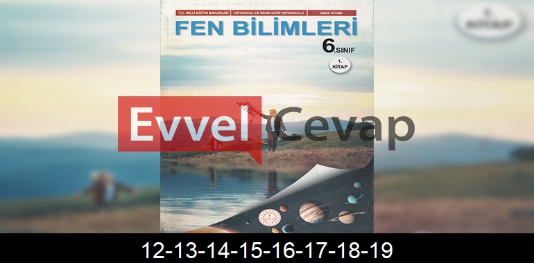 6. Sınıf Fen Bilimleri Ders Kitabı Cevapları Meb Yayınları (1. Kitap) Sayfa 12-13-14-15-16-17-18-19