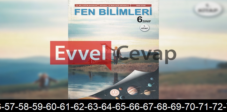 6. Sınıf Fen Bilimleri Ders Kitabı Cevapları Meb Yayınları (1. Kitap) Sayfa 54-55-56-57-58-59-60-61-62-63-64-65-66-67-68-69-70-71-72-73-74-75