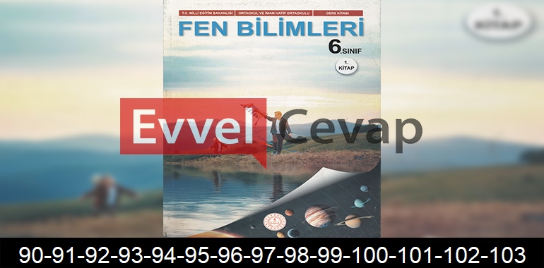 6. Sınıf Fen Bilimleri Ders Kitabı Cevapları Meb Yayınları (1. Kitap) Sayfa 90-91-92-93-94-95-96-97-98-99-100-101-102-103