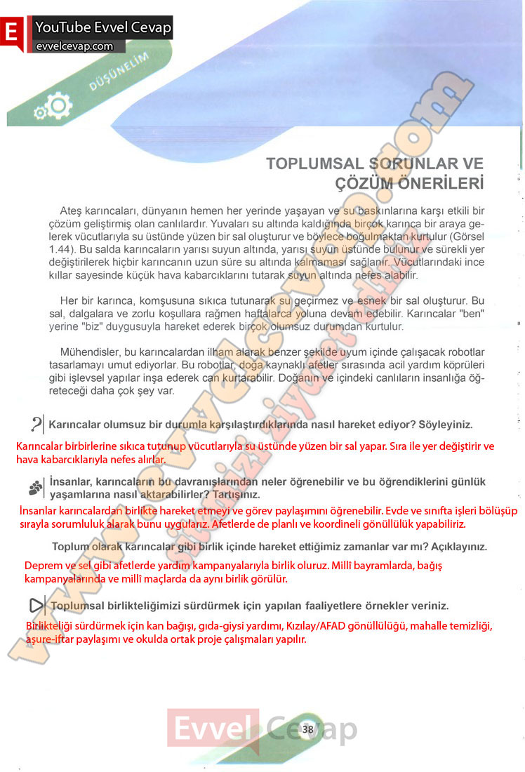 6-sinif-sosyal-bilgiler-ders-kitabi-cevabi-meb-yayinlari-1-kitap-sayfa-38