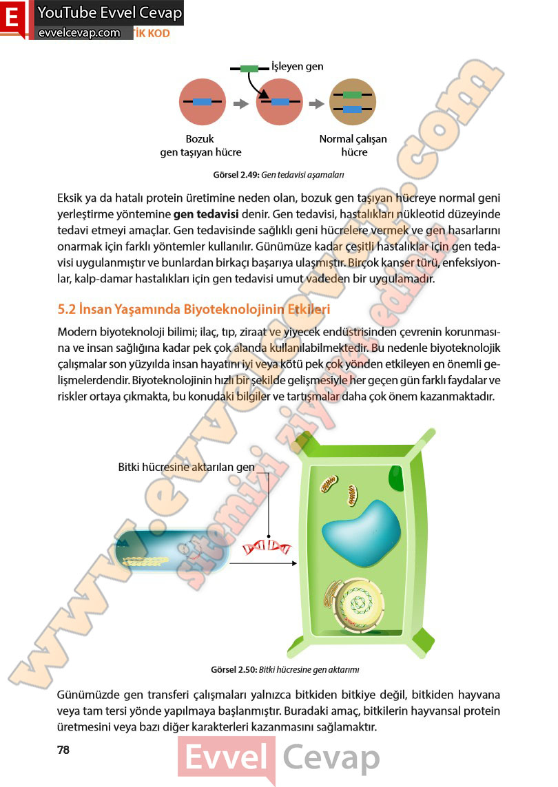 8-sinif-fen-bilimleri-ders-kitabi-cevabi-meb-yayinlari-sayfa-78