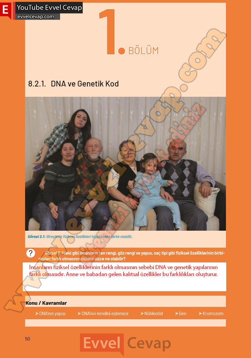 8-sinif-fen-bilimleri-ders-kitabi-cevaplari-hecce-yayincilik-sayfa-50