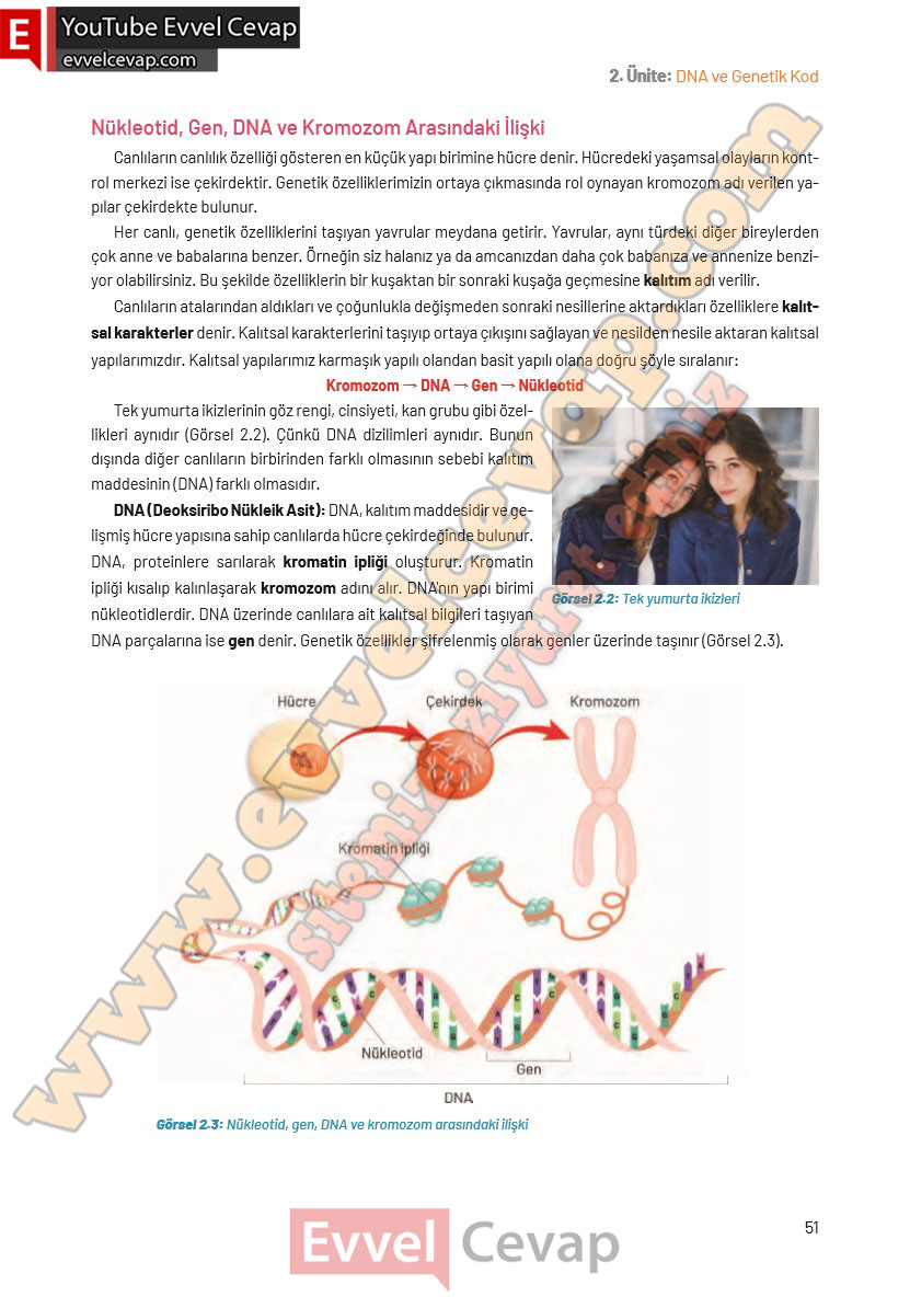 8-sinif-fen-bilimleri-ders-kitabi-cevaplari-hecce-yayincilik-sayfa-51