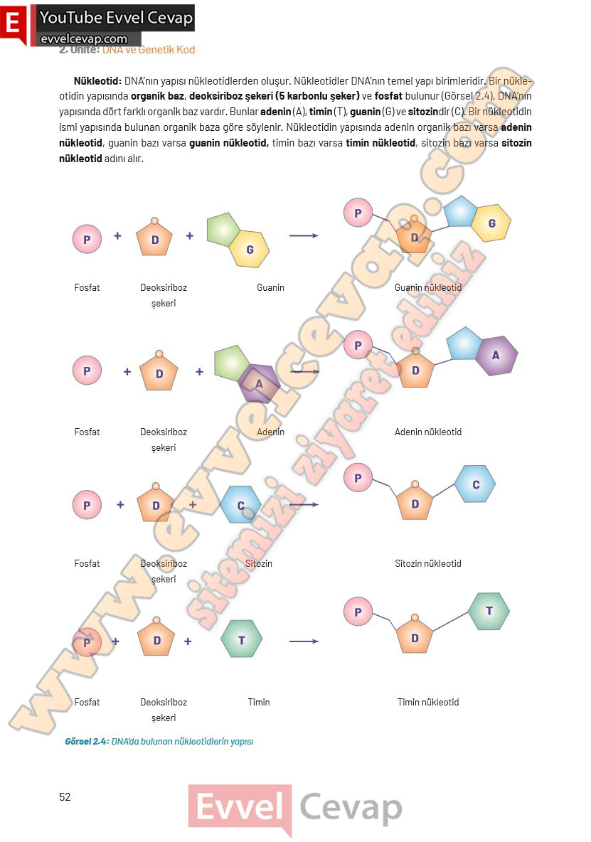 8-sinif-fen-bilimleri-ders-kitabi-cevaplari-hecce-yayincilik-sayfa-52