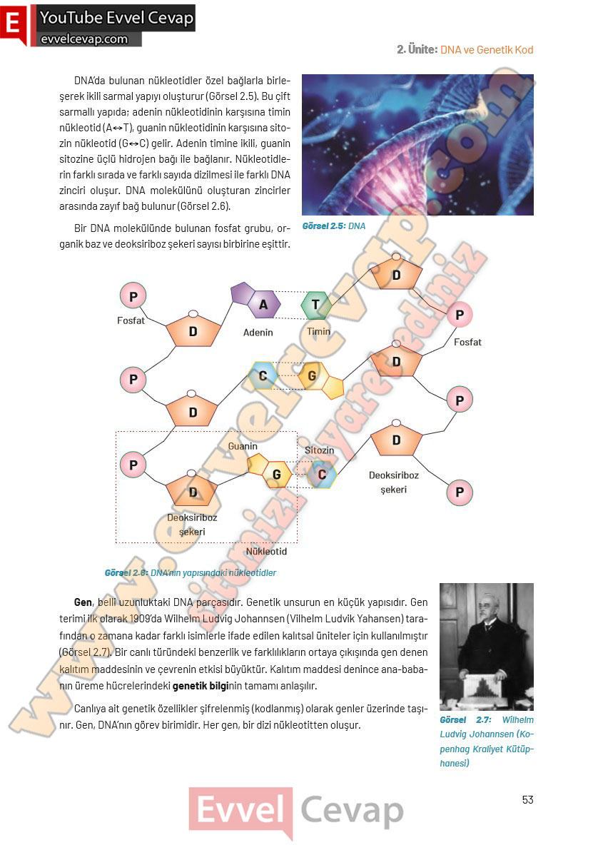 8-sinif-fen-bilimleri-ders-kitabi-cevaplari-hecce-yayincilik-sayfa-53