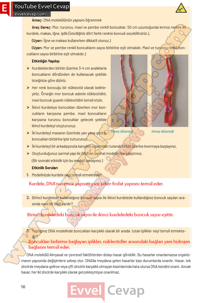 8-sinif-fen-bilimleri-ders-kitabi-cevaplari-hecce-yayincilik-sayfa-56