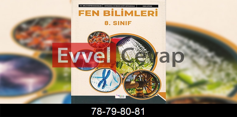8. Sınıf Fen Bilimleri Ders Kitabı Cevapları Hecce Yayıncılık Sayfa 78-79-80-81