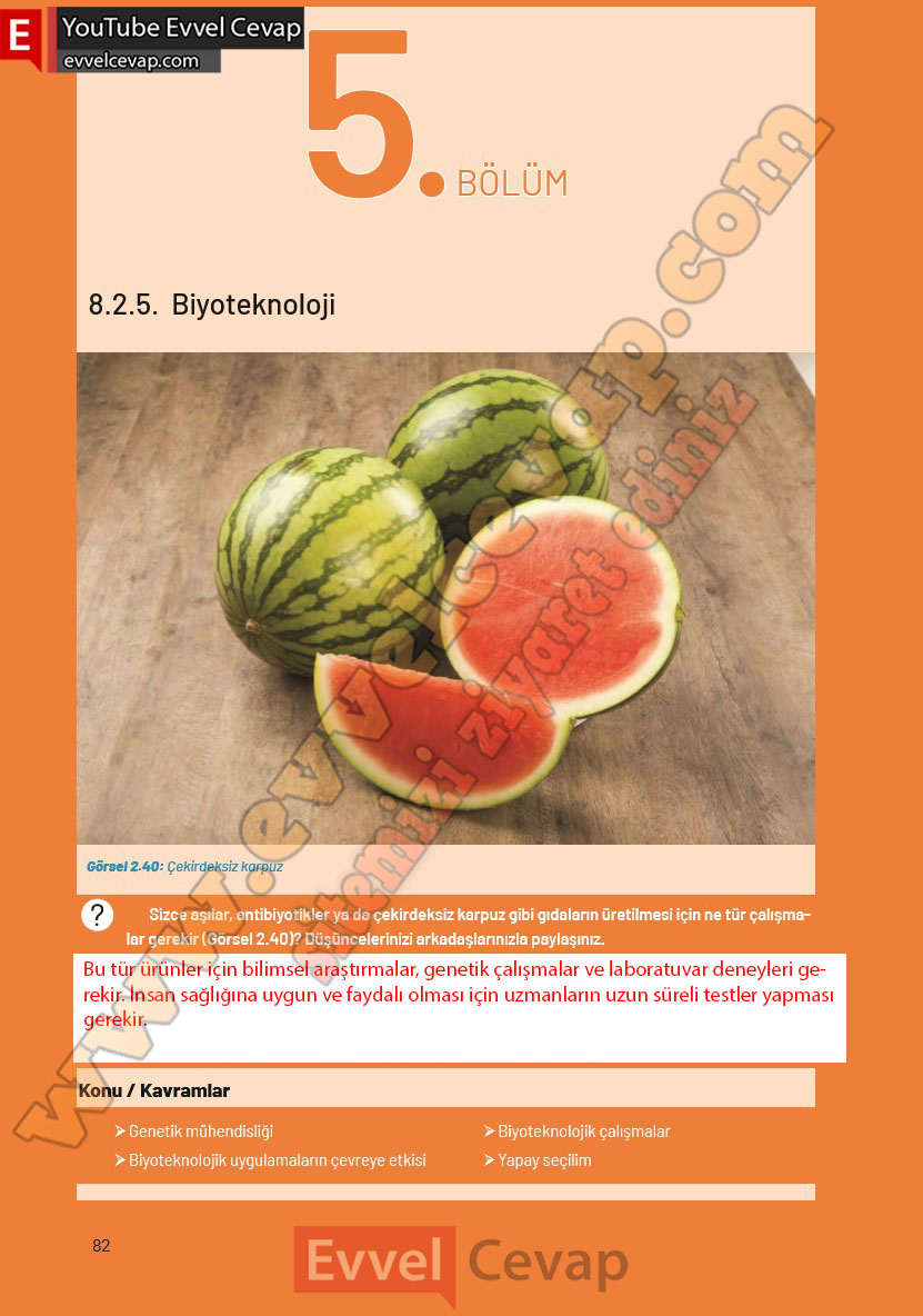 8. Sınıf Fen Bilimleri Ders Kitabı Cevapları Hecce Yayıncılık Sayfa 82