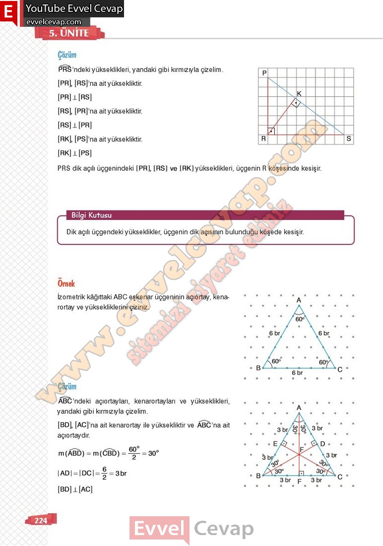 8-sinif-matematik-ders-kitabi-cevabi-sonuc-yayinlari-sayfa-224