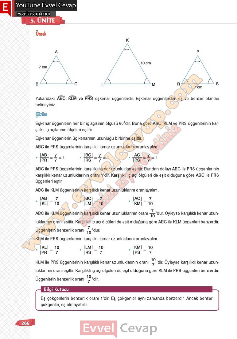 8-sinif-matematik-ders-kitabi-cevabi-sonuc-yayinlari-sayfa-266